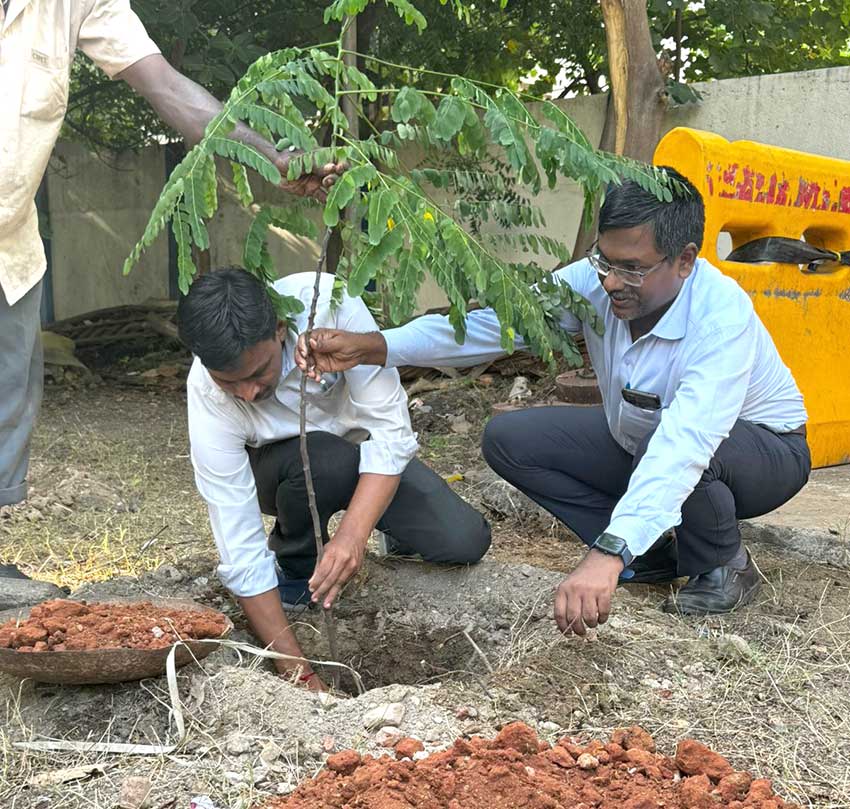 Plantation Drive