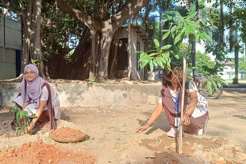 Plantation Drive