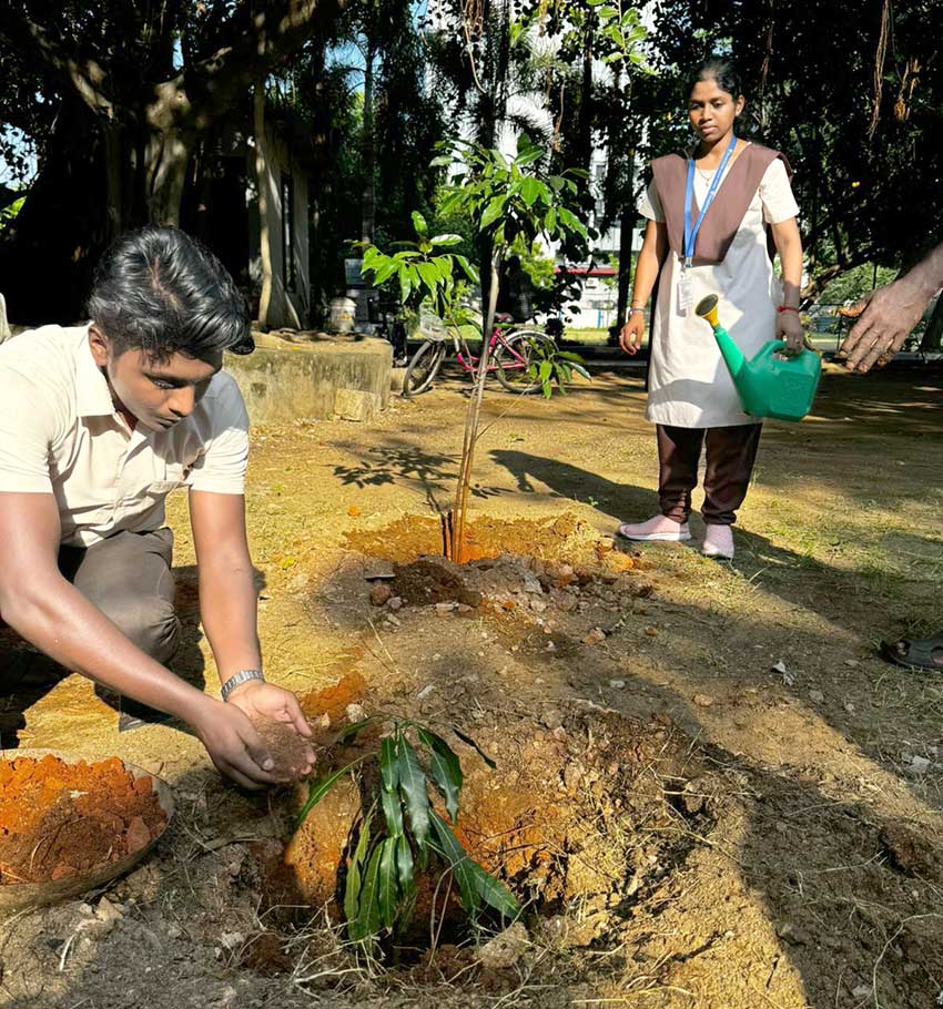 Plantation Drive